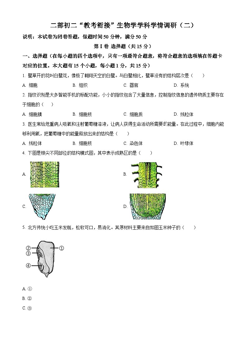 山西省太原市新希望双语学校2023-2024学年八年级下学期4月月考生物试题（原卷版+解析版）01