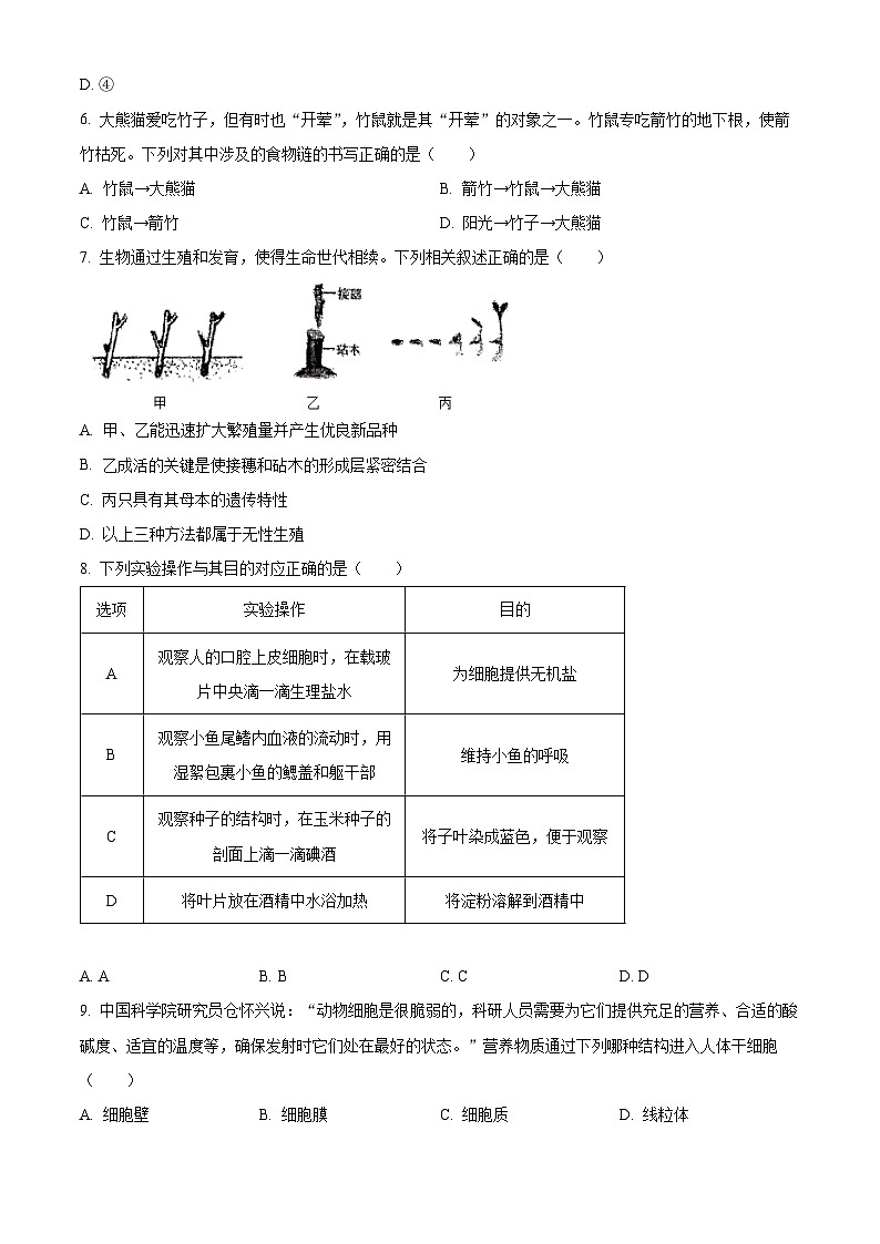 山西省太原市新希望双语学校2023-2024学年八年级下学期4月月考生物试题（原卷版+解析版）02