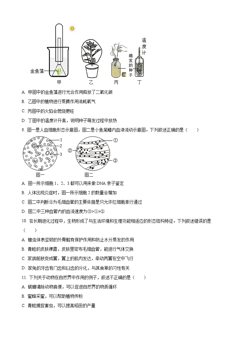 2024年山东省济宁市泗水县中考一模生物试题（原卷版+解析版）03