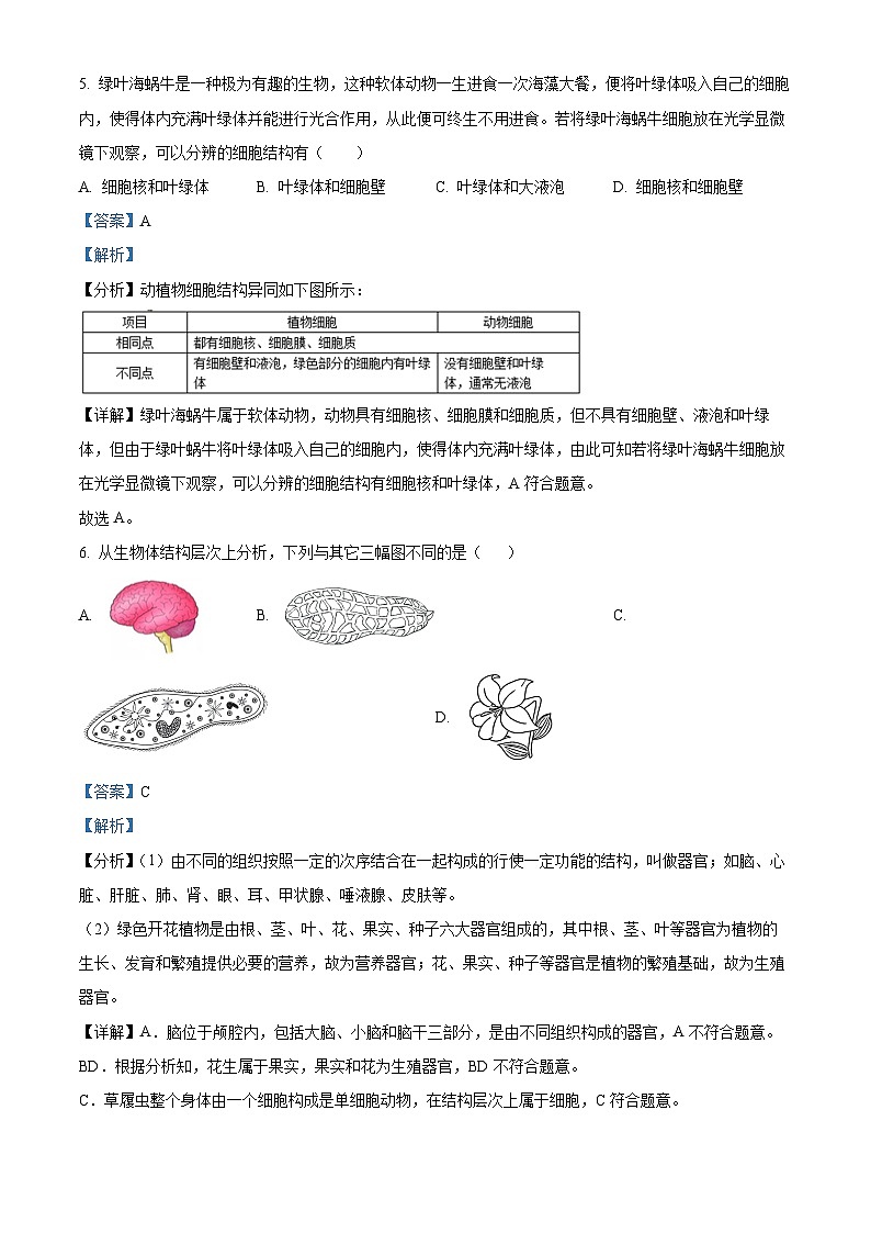 2024年山东省淄博市桓台县中考一模生物试题（原卷版+解析版）03