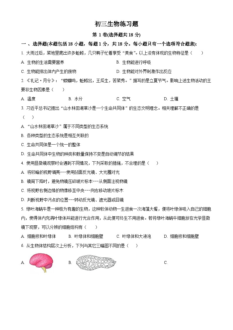 2024年山东省淄博市桓台县中考一模生物试题（原卷版+解析版）01
