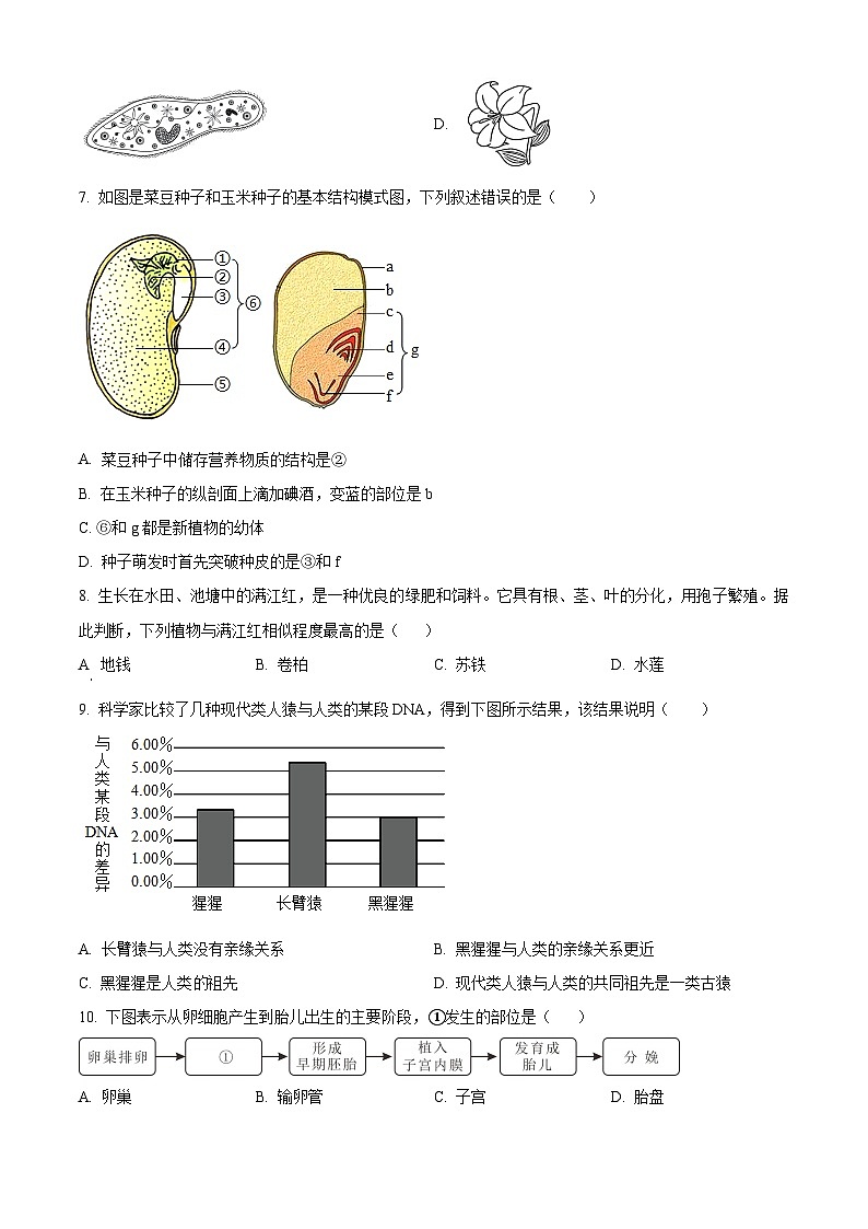 2024年山东省淄博市桓台县中考一模生物试题（原卷版+解析版）02