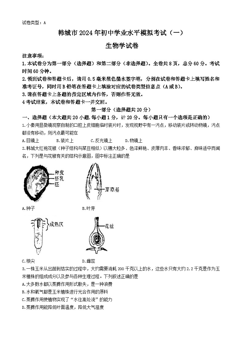 2024年陕西省渭南市韩城市中考一模生物试卷01