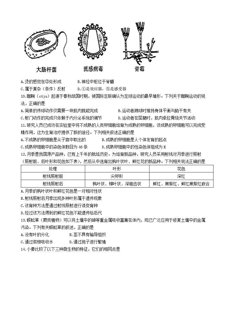 2024年陕西省渭南市韩城市中考一模生物试卷03