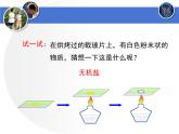 北师大版七年级下册生物  11.1《人体产生的代谢废物》 课件