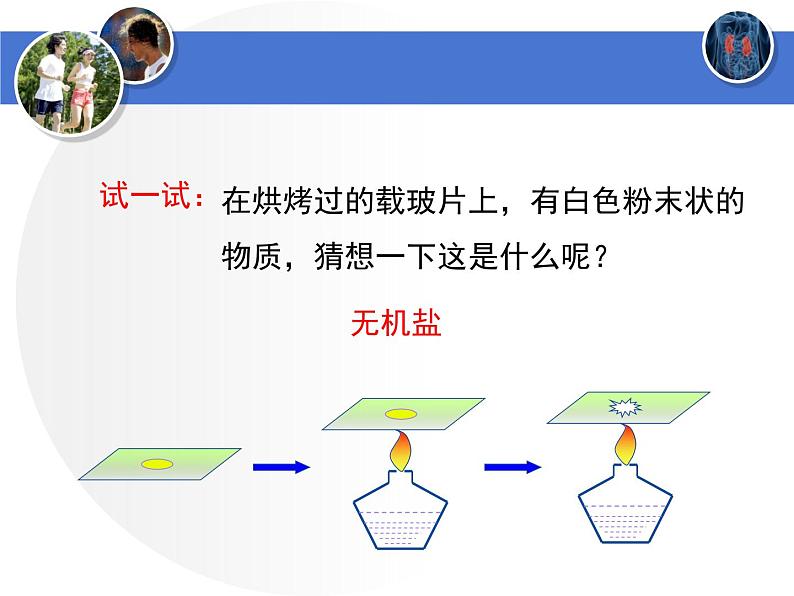 北师大版七年级下册生物  11.1《人体产生的代谢废物》 课件05