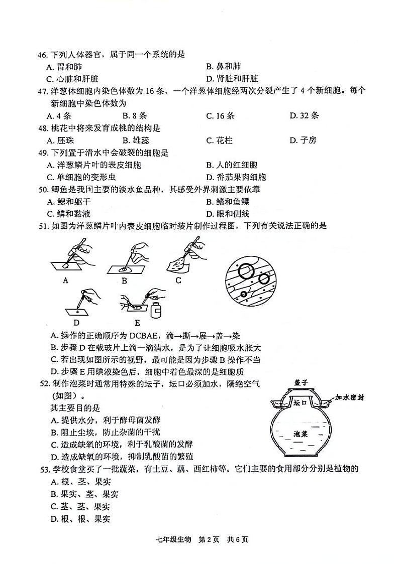 江苏省泰州市姜堰区2023-2024学年七年级下学期期中考试生物试题02