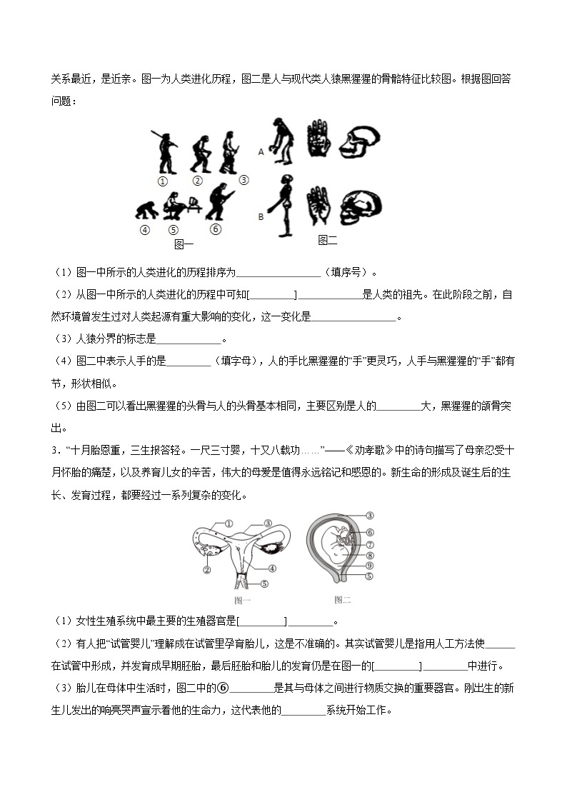 非选择题必刷（精选30题) 备战2023-2024学年七年级生物下学期期中真题分类汇编（人教版）02