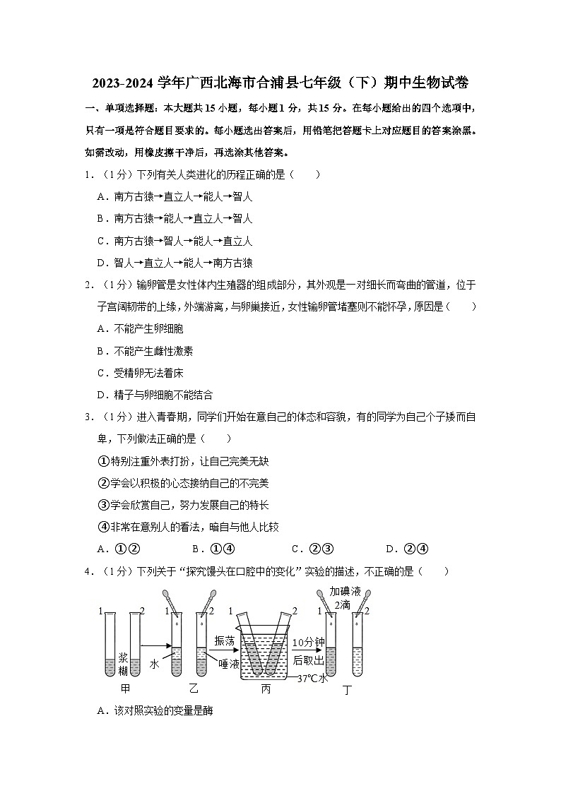 广西北海市合浦县2023-2024学年七年级下学期期中生物试卷第1页