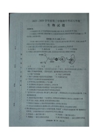 河南省漯河市临颍县2023-2024学年七年级下学期期中考试生物试题