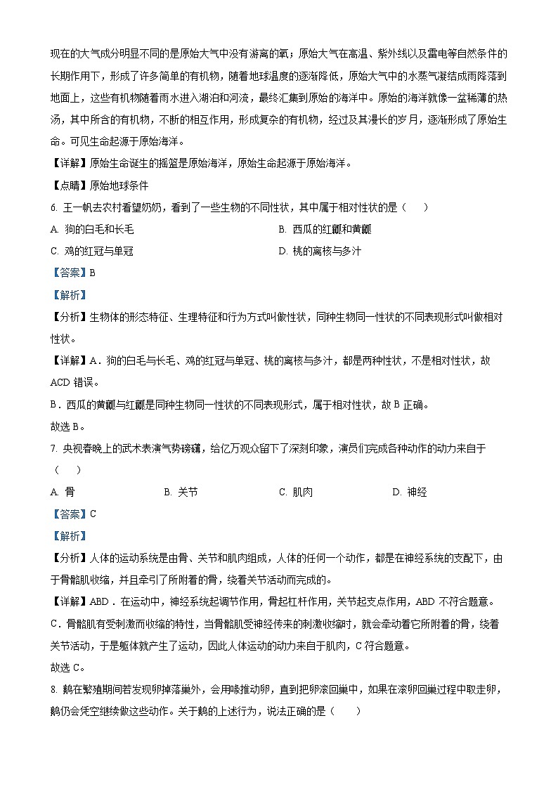 2024年河南省安阳市殷都区中考一模生物试题（原卷版+解析版）03