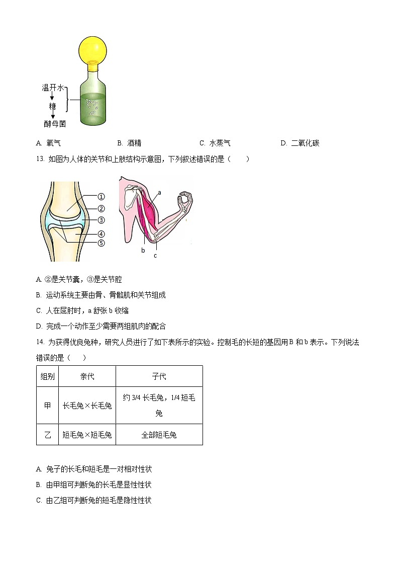 2024年河南省安阳市殷都区中考一模生物试题（原卷版+解析版）03
