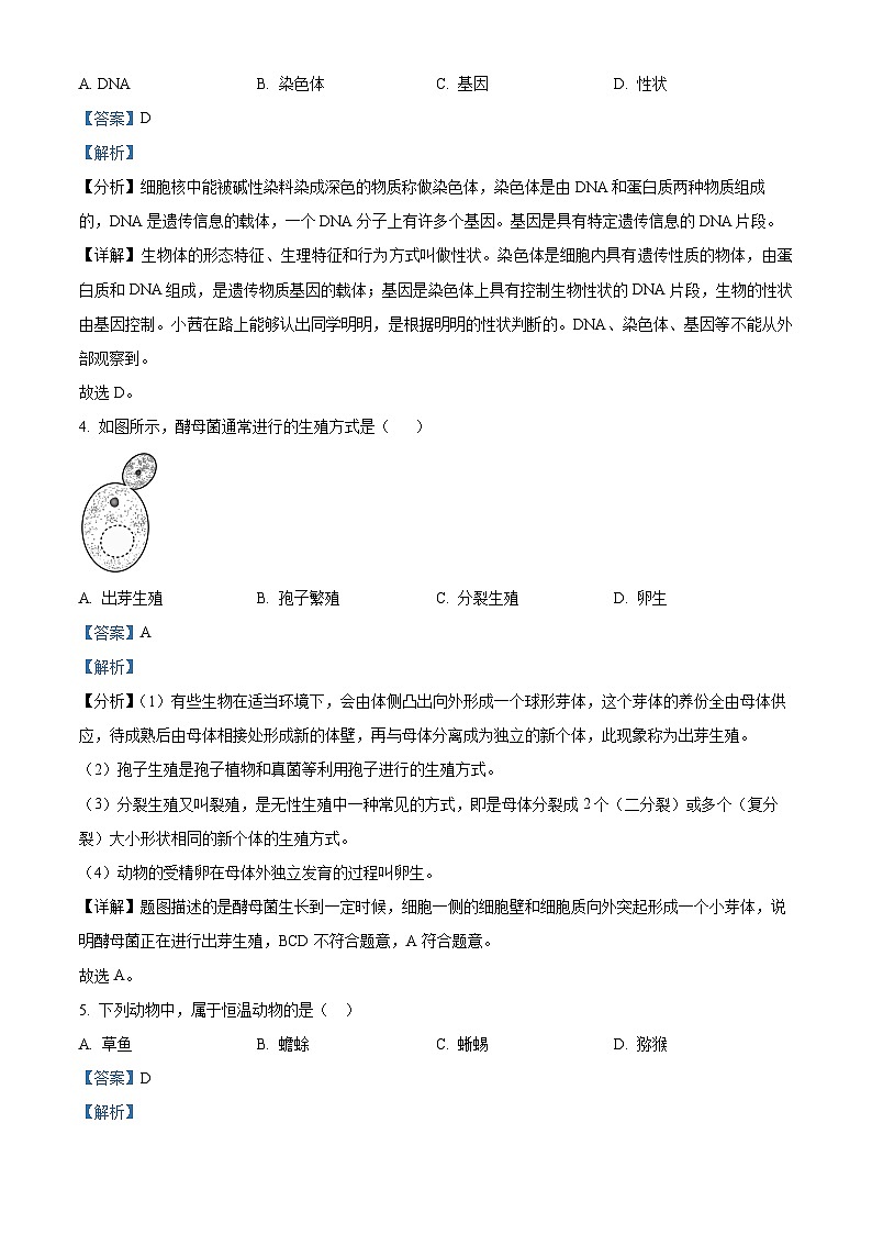 2024年辽宁省铁岭市铁岭县中考生物一模试卷（原卷版+解析版）02