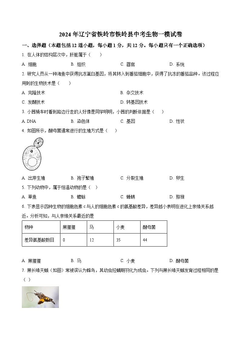 2024年辽宁省铁岭市铁岭县中考生物一模试卷（原卷版+解析版）01