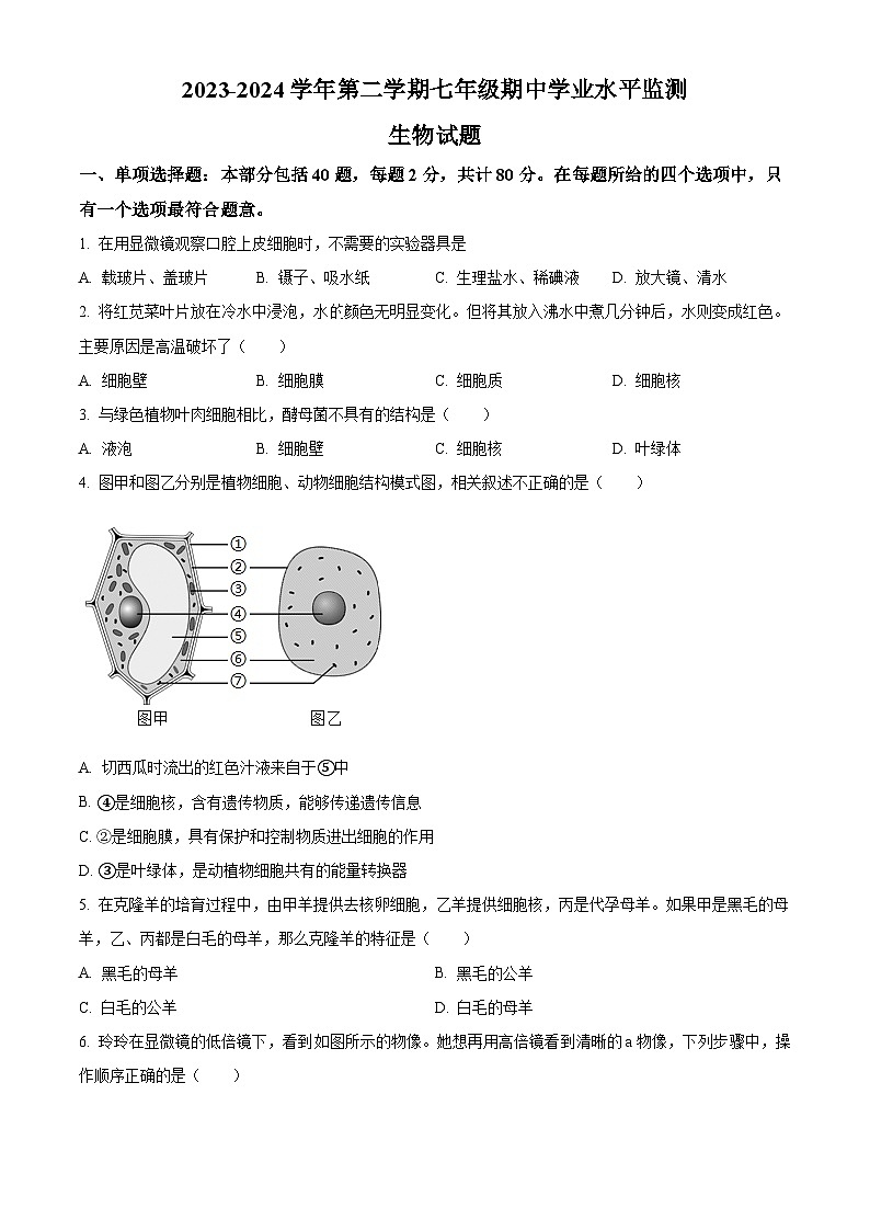 江苏省宿迁市泗阳县2023-2024学年七年级下学期4月期中生物试题（原卷版+解析版）01