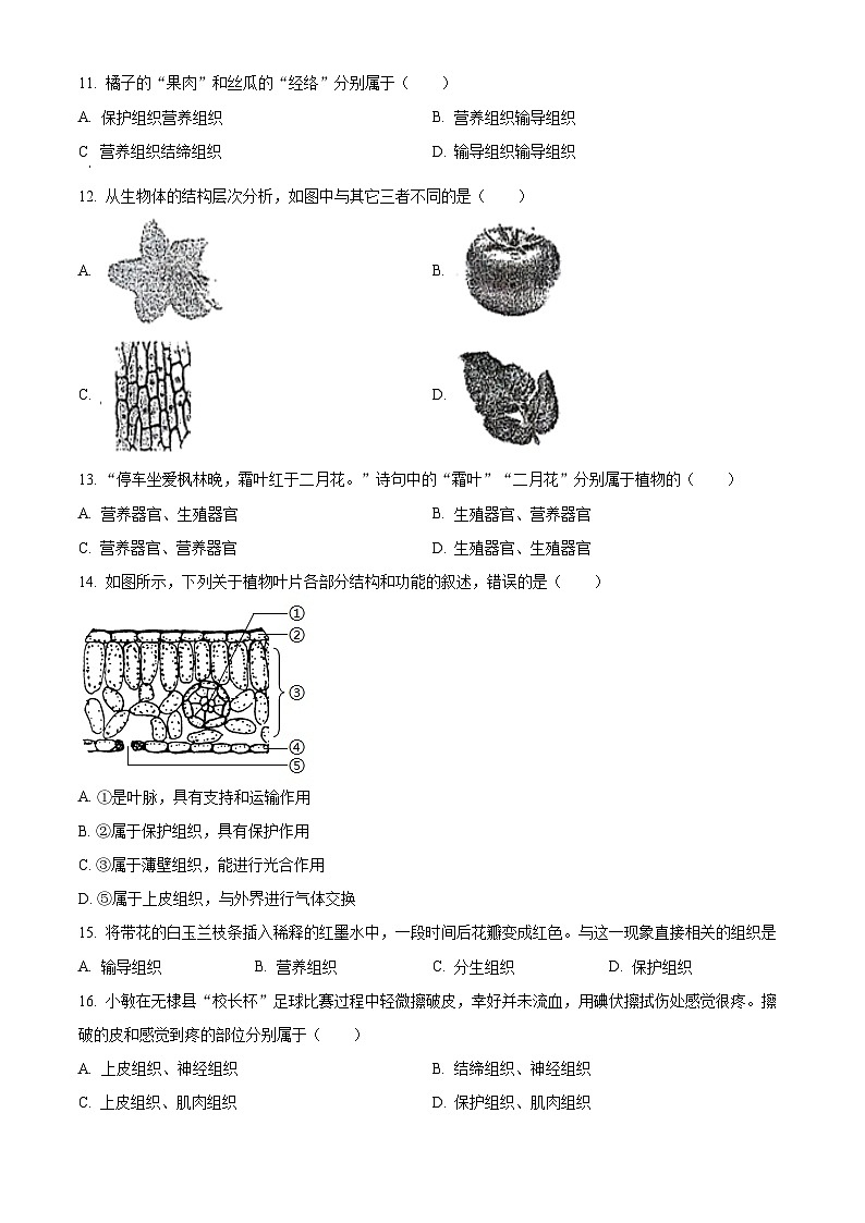 江苏省宿迁市泗阳县2023-2024学年七年级下学期4月期中生物试题（原卷版+解析版）03
