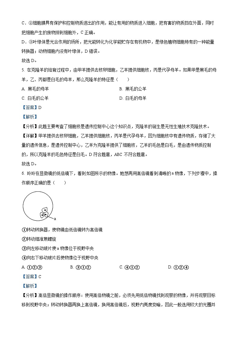 江苏省宿迁市泗阳县2023-2024学年七年级下学期4月期中生物试题（原卷版+解析版）03