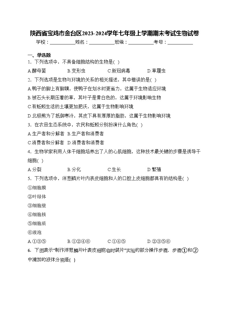 陕西省宝鸡市金台区2023-2024学年七年级上学期期末考试生物试卷(含答案)第1页