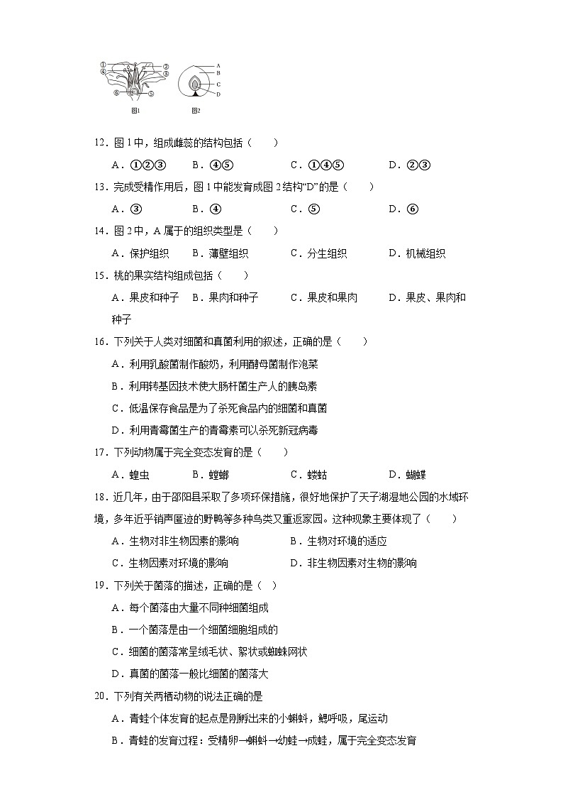 福建省华安县2023-2024学年八年级下学期期中生物试题第3页