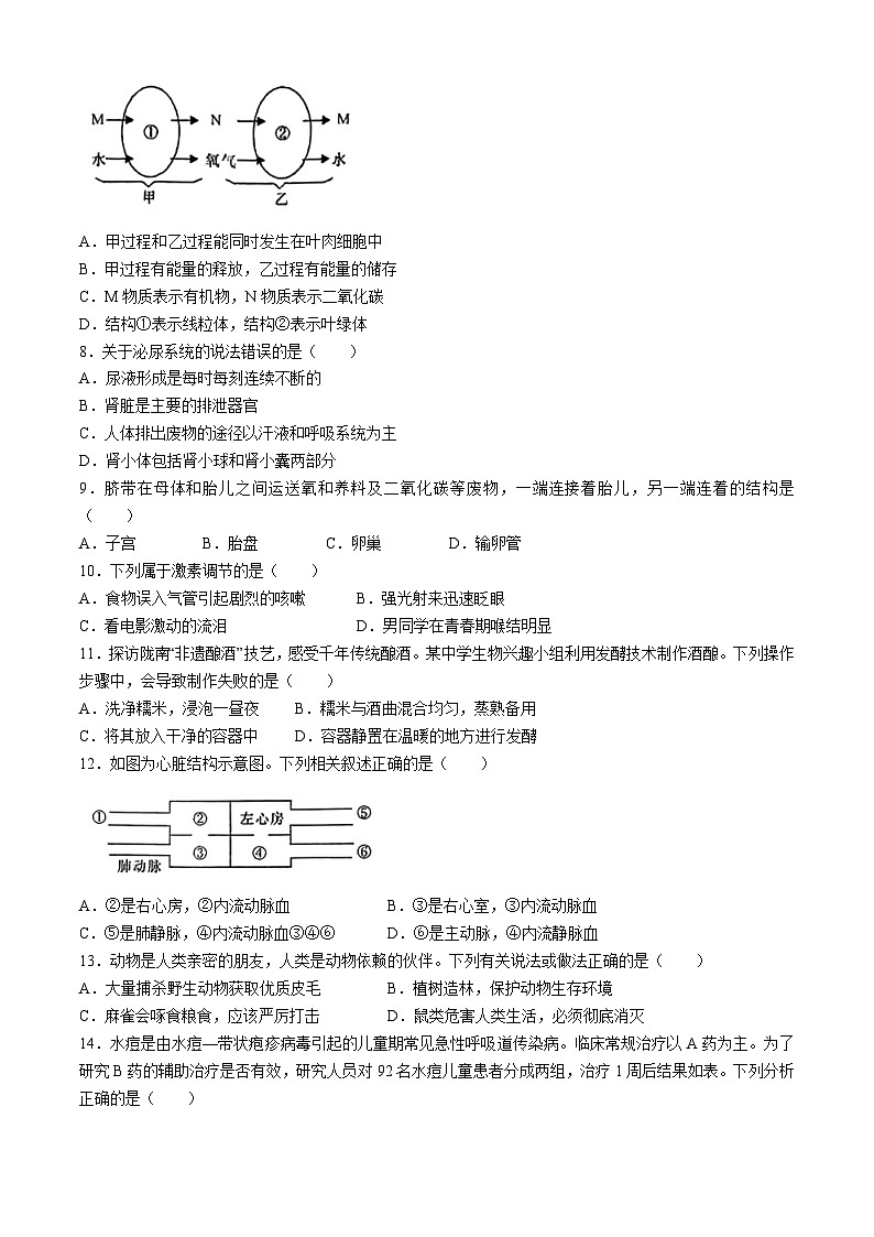 2024年甘肃省陇南市武都区九年级联考（一模）生物试题(无答案)第2页