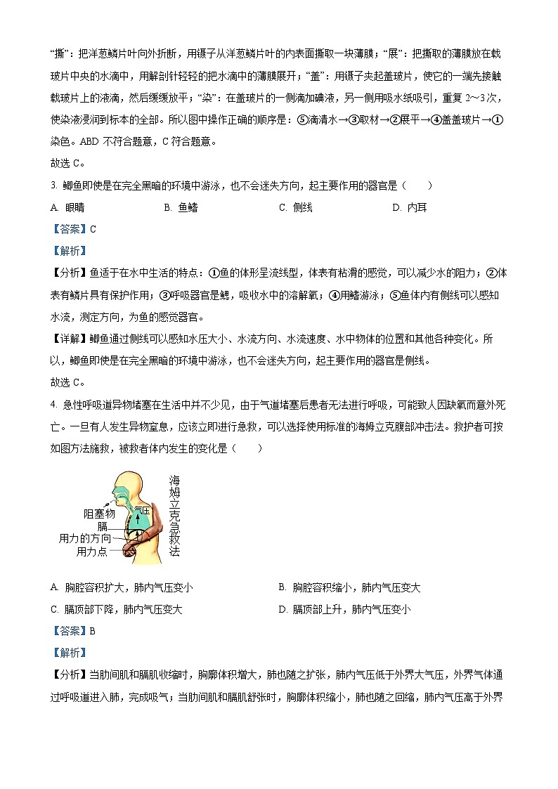 江苏省宿迁市泗洪县2023-2024学年八年级下学期4月期中生物试题（解析版）第2页