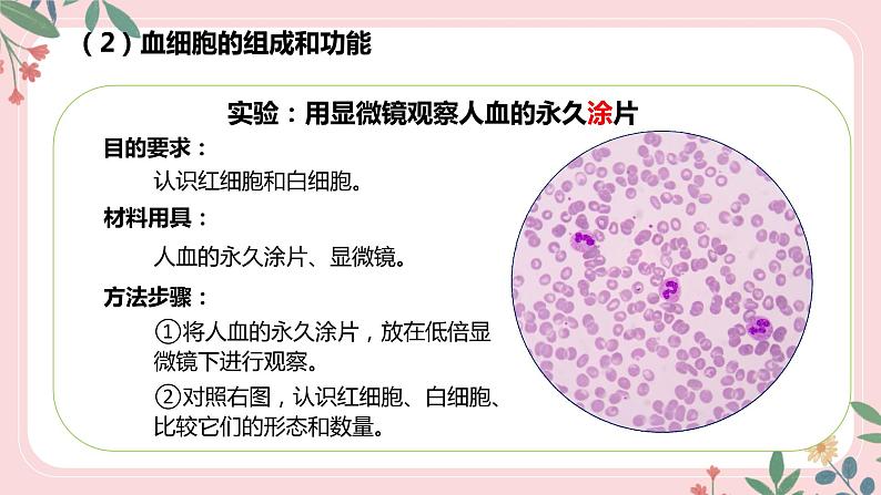 4.4.1 流动的组织——血液-七年级生物下册 教学课件 （人教版）第8页