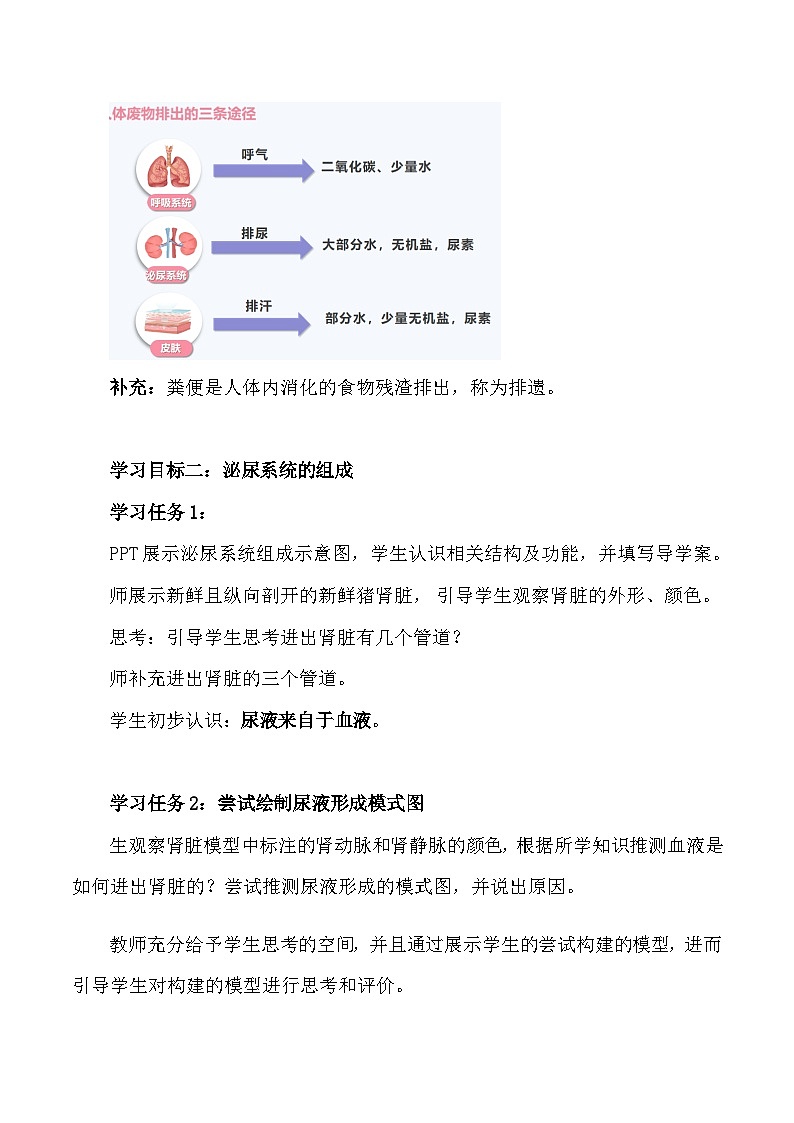 4.5 人体内废物的排出-七年级生物下册 教学课件+教学设计+练习（人教版）03
