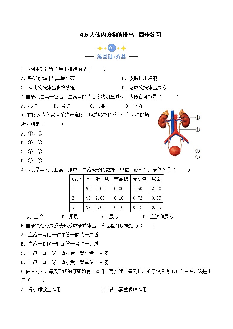 4.5 人体内废物的排出-七年级生物下册 教学课件+教学设计+练习（人教版）01