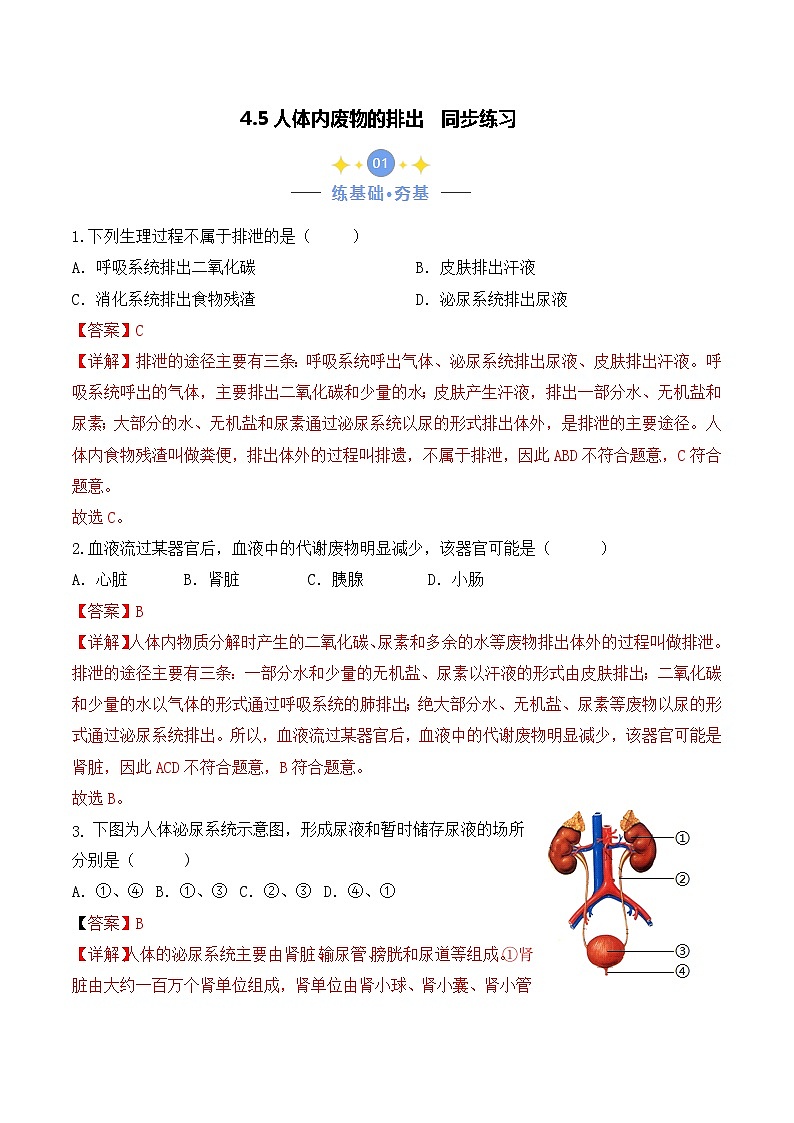 4.5 人体内废物的排出-七年级生物下册 教学课件+教学设计+练习（人教版）01