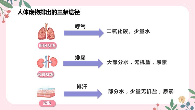 4.5 人体内废物的排出-七年级生物下册 教学课件+教学设计+练习（人教版）05