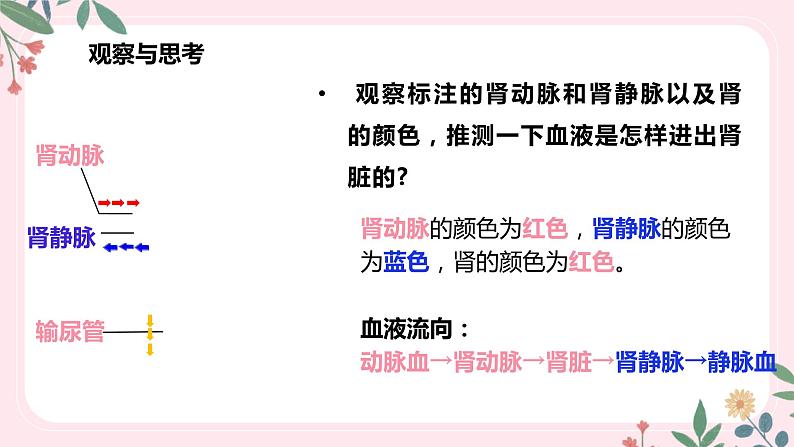 4.5 人体内废物的排出-七年级生物下册 教学课件+教学设计+练习（人教版）07