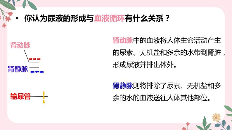 4.5 人体内废物的排出-七年级生物下册 教学课件+教学设计+练习（人教版）08