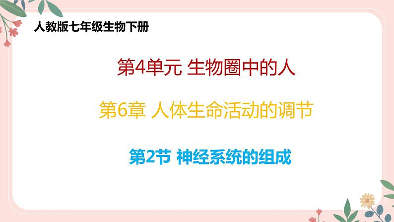 4.6.2 神经系统的组成-七年级生物下册 教学课件+教学设计+练习（人教版）01