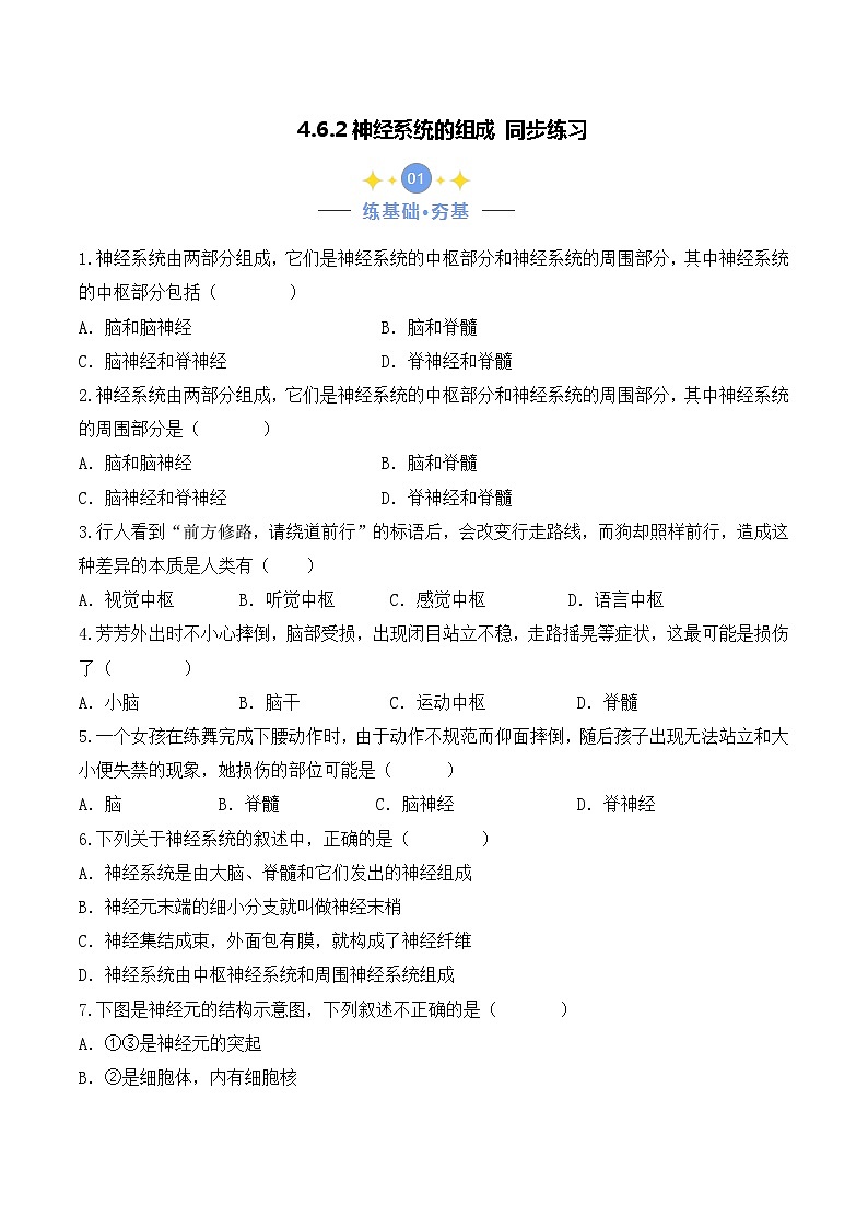 4.6.2 神经系统的组成-七年级生物下册 同步练习第1页