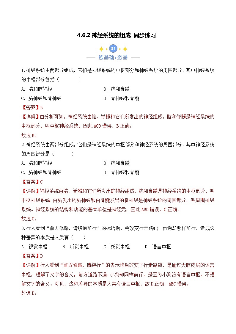 4.6.2 神经系统的组成-七年级生物下册 同步练习（含答案解析）第1页