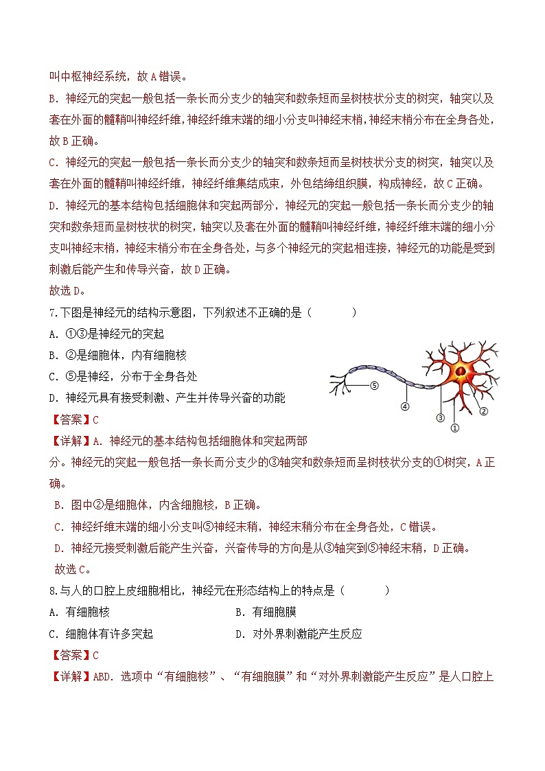 4.6.2 神经系统的组成-七年级生物下册 同步练习（含答案解析）第3页