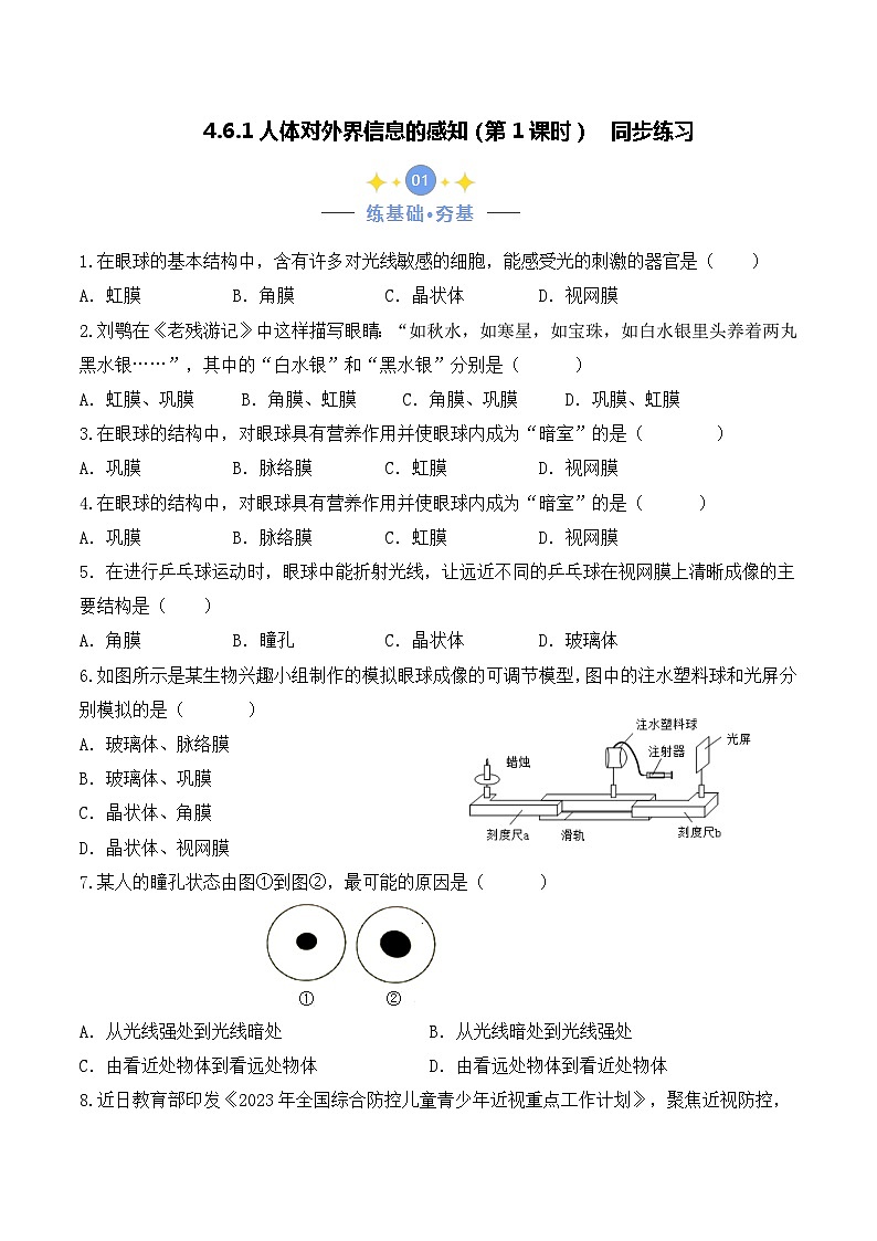 4.6.1 人体对外界信息的感知（第1课时）-七年级生物下册 教学课件+教学设计+练习（人教版）01