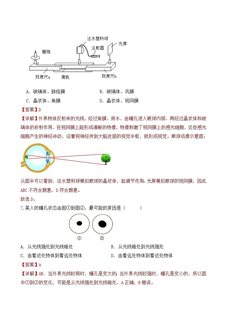 4.6.1 人体对外界信息的感知（第1课时）-七年级生物下册 教学课件+教学设计+练习（人教版）03