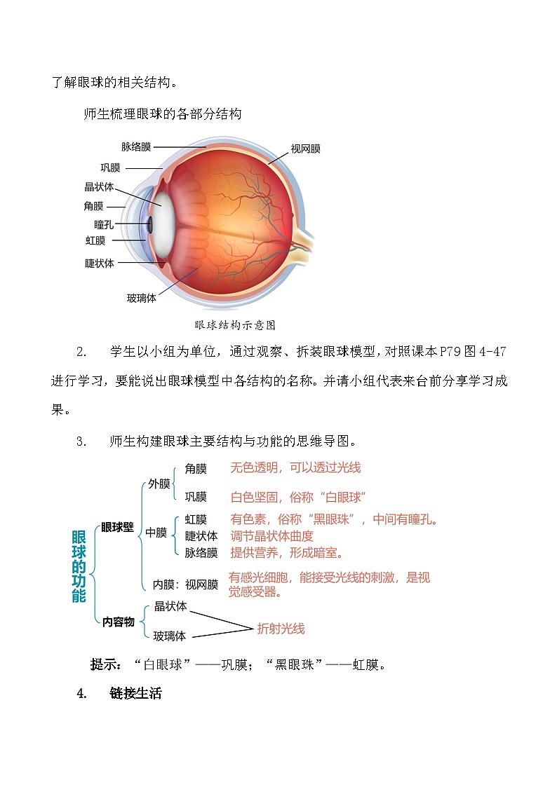4.6.1 人体对外界信息的感知（第1课时）-七年级生物下册 教学课件+教学设计+练习（人教版）03