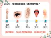 4.6.1 人体对外界信息的感知（第1课时）-七年级生物下册 教学课件+教学设计+练习（人教版）