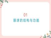 4.6.1 人体对外界信息的感知（第1课时）-七年级生物下册 教学课件+教学设计+练习（人教版）