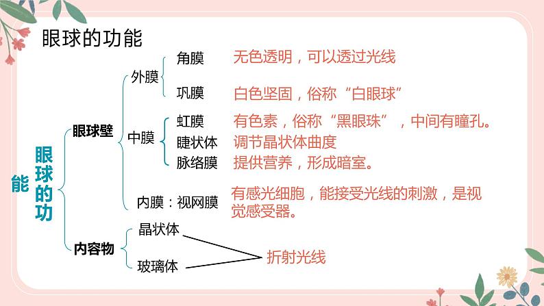 4.6.1 人体对外界信息的感知（第1课时）-七年级生物下册 教学课件+教学设计+练习（人教版）07