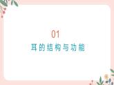 4.6.1 人体对外界信息的感知（第2课时）-七年级生物下册 教学课件+教学设计+练习（人教版）