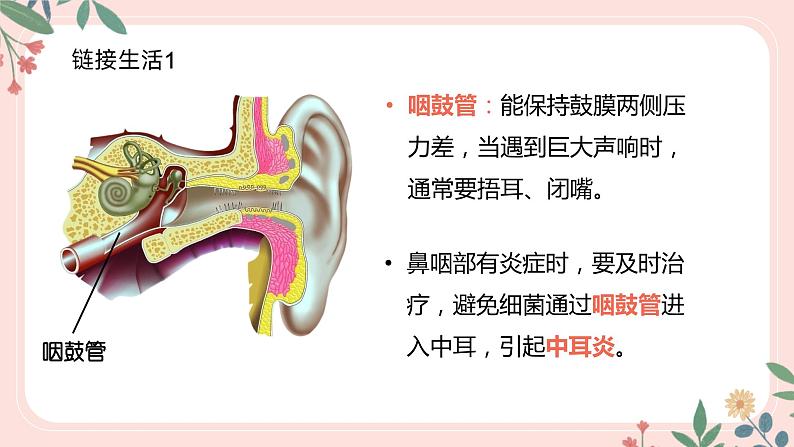 4.6.1 人体对外界信息的感知（第2课时）-七年级生物下册 教学课件+教学设计+练习（人教版）08