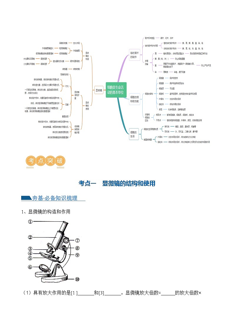 专题02 细胞是生命活动的基本单位（讲义）（原卷版）第3页