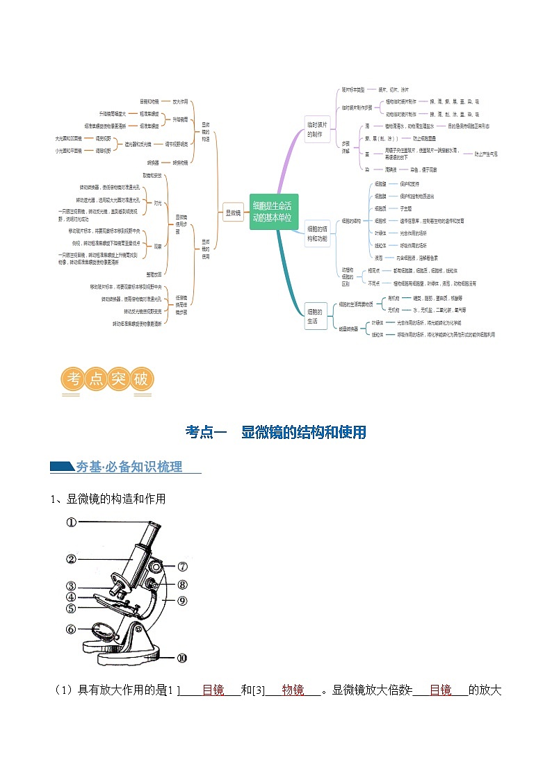 专题02 细胞是生命活动的基本单位（讲义）（解析版）第3页