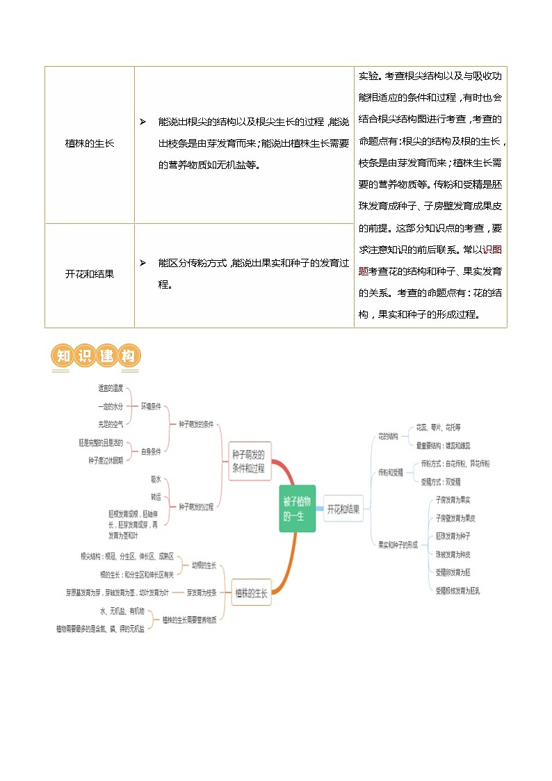 专题05 被子植物的一生（讲义）-中考生物一轮复习讲练测（全国通用）02