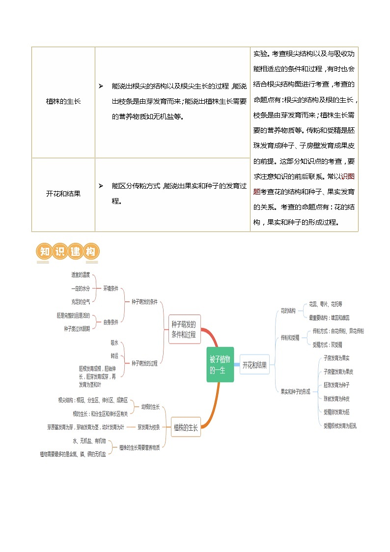 专题05 被子植物的一生（讲义）-中考生物一轮复习讲练测（全国通用）02