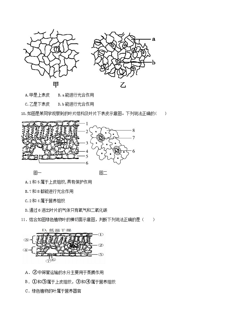专题06 绿色植物与生物圈的水循环（练习）（原卷版）第3页