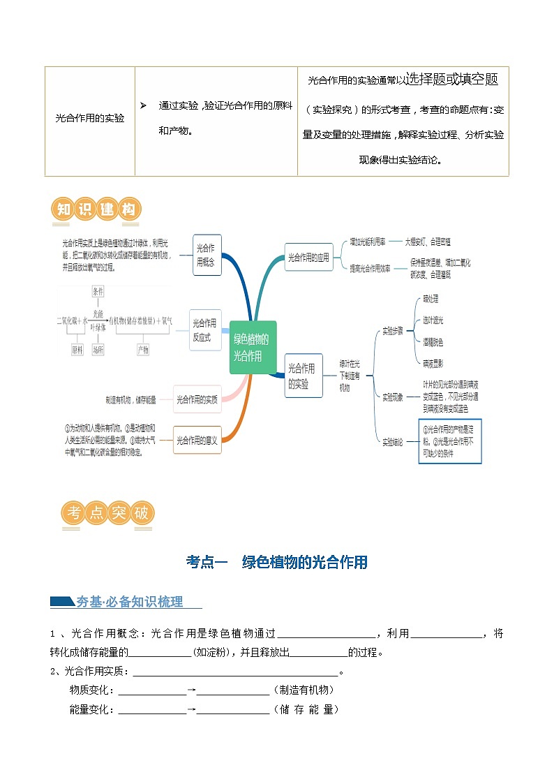 专题07 绿色植物的光合作用（讲义）（原卷版）第2页